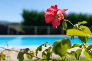 Casa Panorâmica Aurora