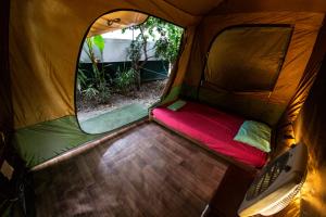 Dougies Backpackers Resort