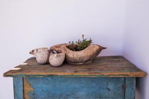 Ailouros Scenic Guest Houses