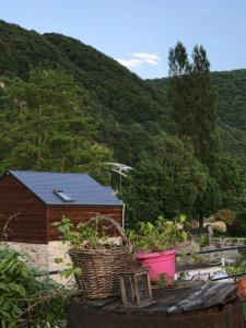 Maisons de vacances Grain d Amour : photos des chambres