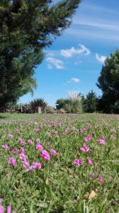 Cabañas Tierra Linda