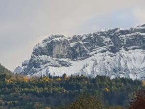 B&B / Chambres d'hotes EL CAMINO : Chambre Double - Vue sur Jardin