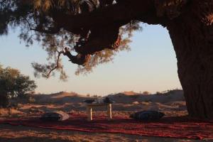 Erg Chegaga nomad tour