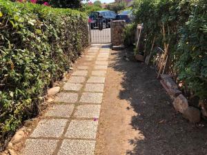 Appartamento Iris 300 mt spiaggia img15