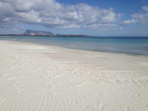 Appartamento Iris 300 mt spiaggia img16