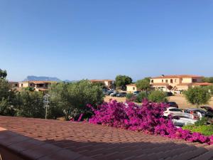 Appartamento Iris 300 mt spiaggia img4