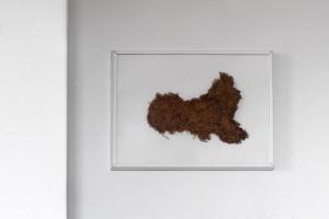 Il Grifo - Cozy house, wonderful view