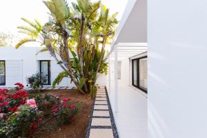 Sa Plana d´en Miquel