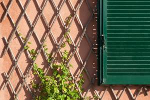 Il Grifo - Cozy house, wonderful view
