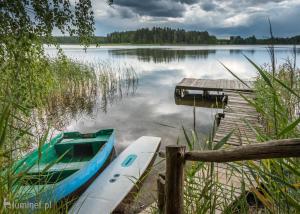 Nad Jeziorem Zelwa - Puszcza Augustowska