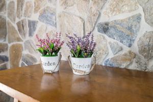 Chalet Aragon Muñoz