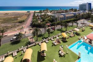 Palm Garden with sea views to the beach, pools