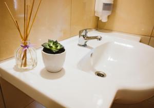 Hotel Piotr Spa&Wellness