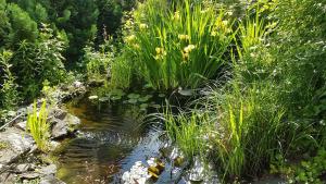 Apartment White House (1f) Boppard City Boppard Germany