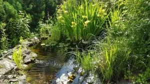 White House (1f) Boppard City - 洛夫