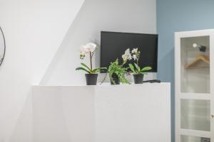 Appartements WS Marais - Musee Pompidou : photos des chambres