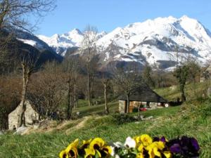 Maisons de vacances Gite des Moulins - Val d'Azun Pyrenees : photos des chambres
