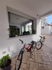 Il Colle del Barone img9