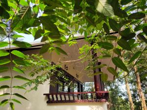 Green Garden Wayanad