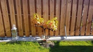 Chalet am Park with Hottub