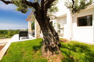 Beautiful villa Irma with private pool near Rovinj 