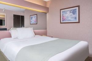 1 Queen Bed, Pet-Friendly, Non-Smoking room in Microtel Inn La Crosse Onalaska Area