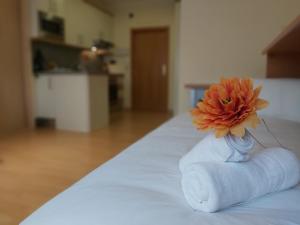 Del parque flats estudio martires