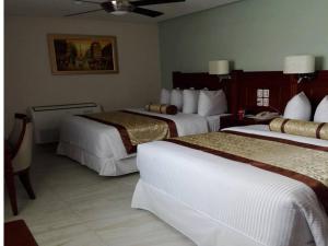 hotel villa magna poza rica