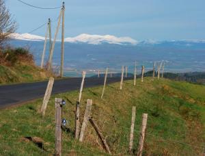 B&B / Chambres d'hotes Le Vallon d'Armandine, gite ecologique Auvergne : photos des chambres