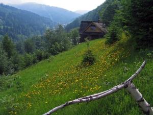 Tarnasówka w Szczyrku