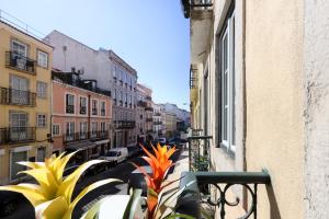 Charming and Stylish Downtown Apt in XIX century building