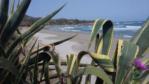 La casetta celeste img19