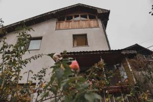Deluxe Double or Twin Room with City View room in Curovac View