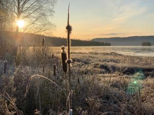 Kullerbacka Gästhus