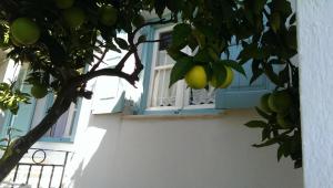 Sofia Holiday Studios Skopelos Greece