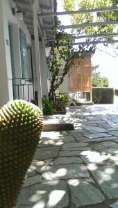 Sofia Holiday Studios Skopelos Greece