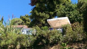 Sofia Holiday Studios Skopelos Greece