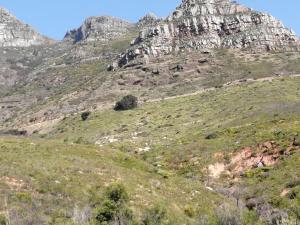 Disa Park 16th Floor Apartment with City Views