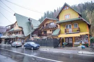 Dalia Căsuță - Vaideeni