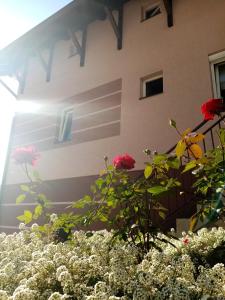 Smeštaj Zlatar Arena