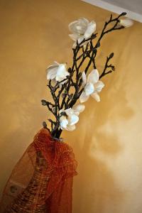 Ferienwohnungen Ehammer