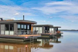 die Möwen - Vetschau