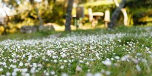 Quinta dos Canteiros