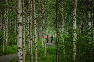 Juhannuskalliontie, 96400 Rovaniemi, Finland.