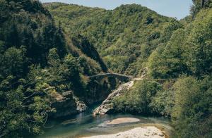 Campings Roulottes et Cabanes de Saint Cerice : photos des chambres