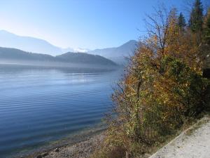 Bauernhof Haim-Schnepfleitner