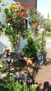 Ferienwohnung Rosentraum