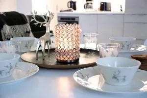 Nordica Design Residence Rovaniemi - Rovaniemi