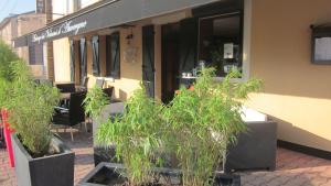 AUBERGE DES VOLCANS D'AUVERGNE photo 15