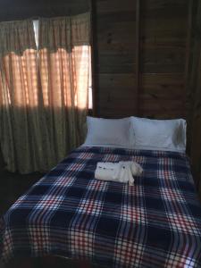 Matus Guest House